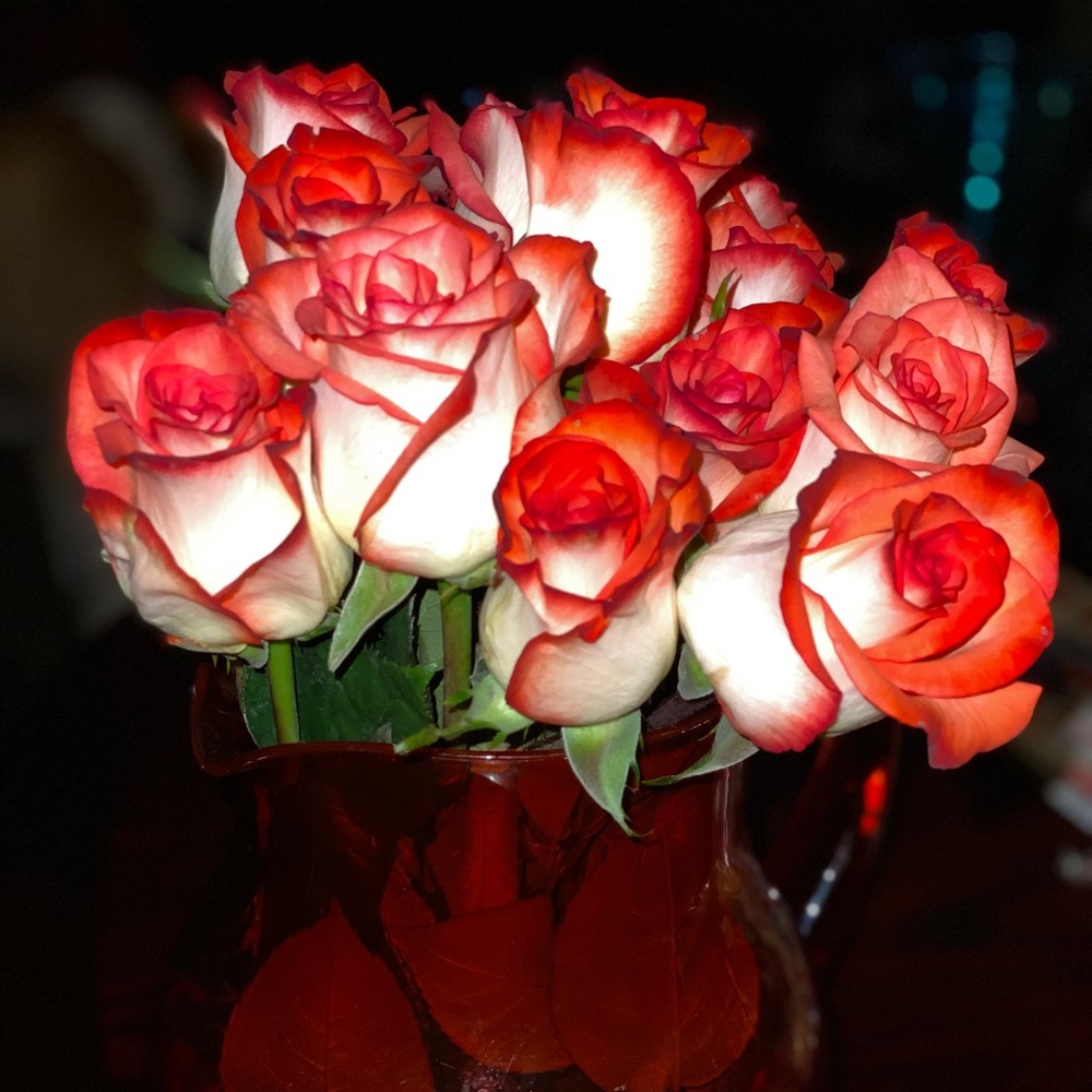 Meet your Posher, Crystal